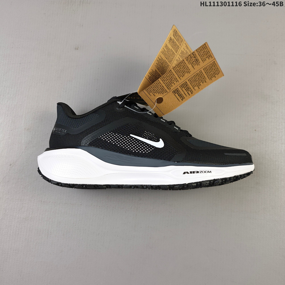 Nike Air Zoom Pegasus 41 GTX ZOOM